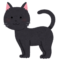 cat
